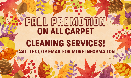 Fall Promotion On All Capet Cleaning Services!